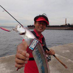 ZZ-STAP&ワインド&FLAP釣法でタチウオゲット!